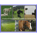 Cerca de pastizales galvanizada / Cerca de ganado / Cerca de granja